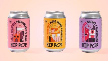 無(wú)酒精即飲型飲料 2022飲料行業(yè)新潮流解析