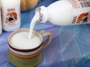 小洋人黃桃味發(fā)酵型乳酸菌奶飲品 200ml即飲型無(wú)酒精飲料的活力之選