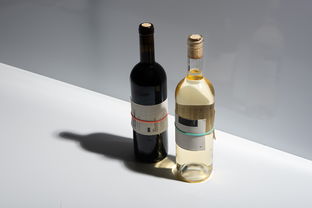 零酒精也能暢飲？探尋即飲型無(wú)酒精飲料的新風(fēng)潮